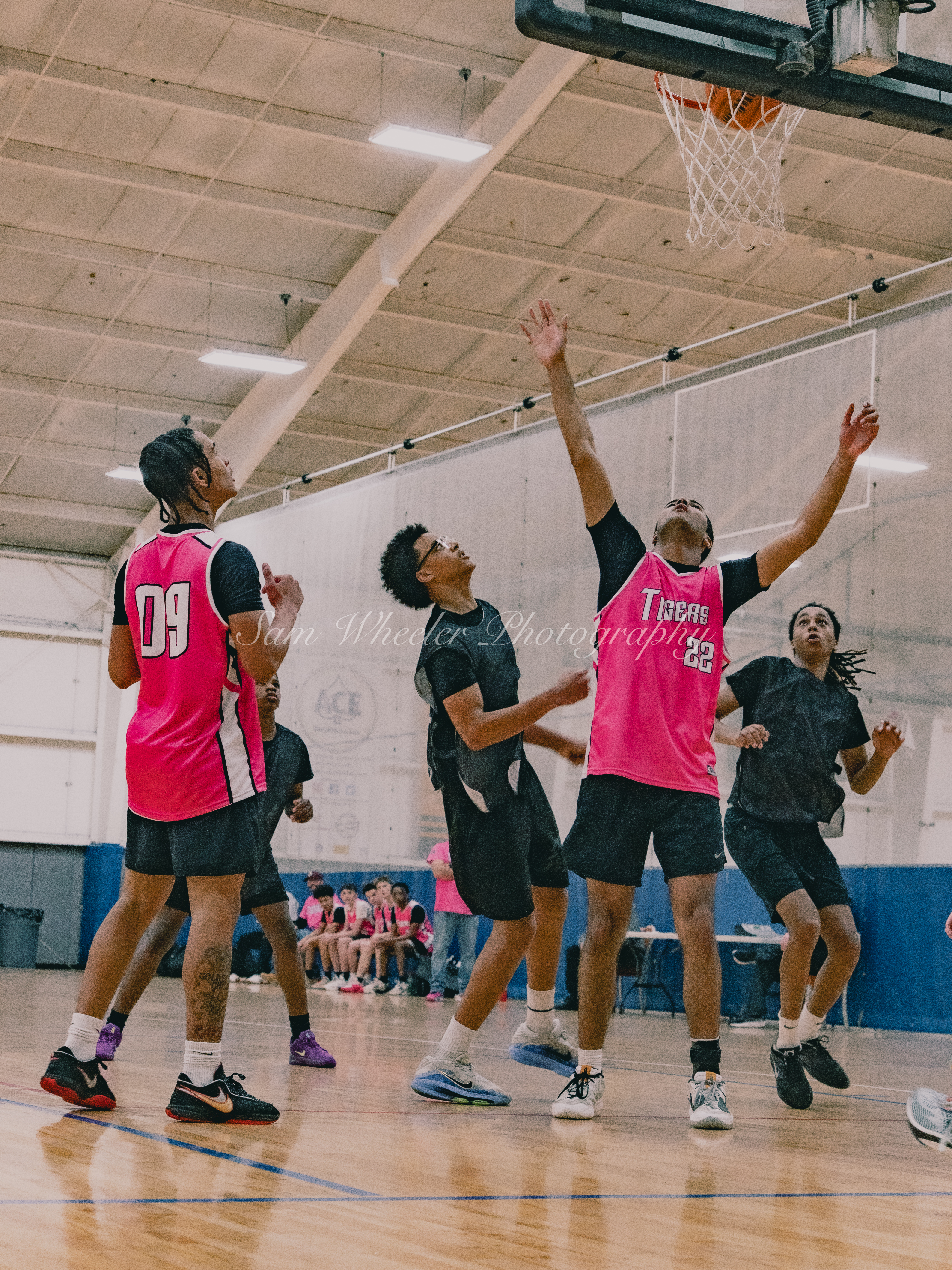 Sports Photo
